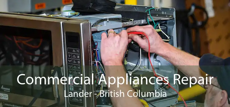 Commercial Appliances Repair Lander - British Columbia