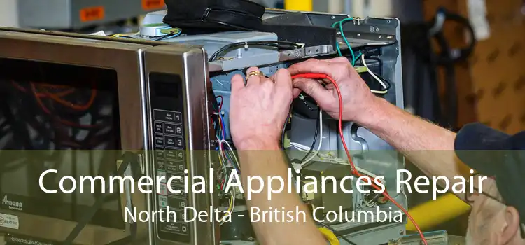 Commercial Appliances Repair North Delta - British Columbia