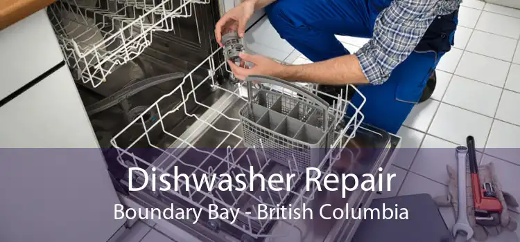 Dishwasher Repair Boundary Bay - British Columbia