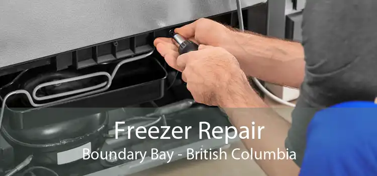 Freezer Repair Boundary Bay - British Columbia