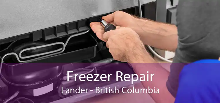 Freezer Repair Lander - British Columbia