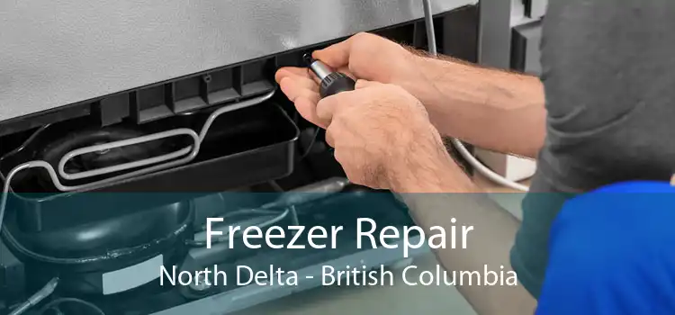 Freezer Repair North Delta - British Columbia