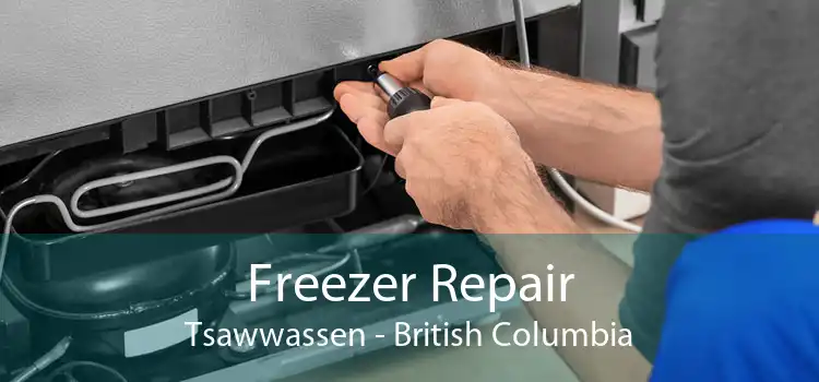 Freezer Repair Tsawwassen - British Columbia