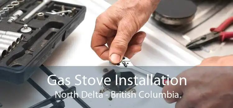 Gas Stove Installation North Delta - British Columbia
