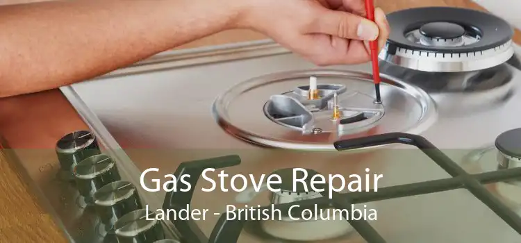 Gas Stove Repair Lander - British Columbia