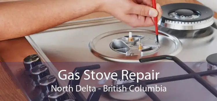 Gas Stove Repair North Delta - British Columbia