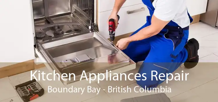 Kitchen Appliances Repair Boundary Bay - British Columbia