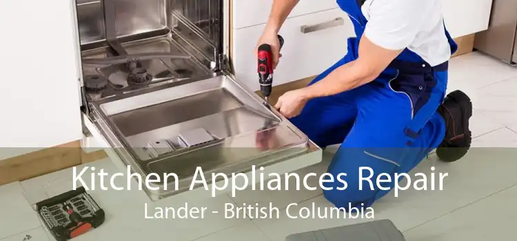 Kitchen Appliances Repair Lander - British Columbia
