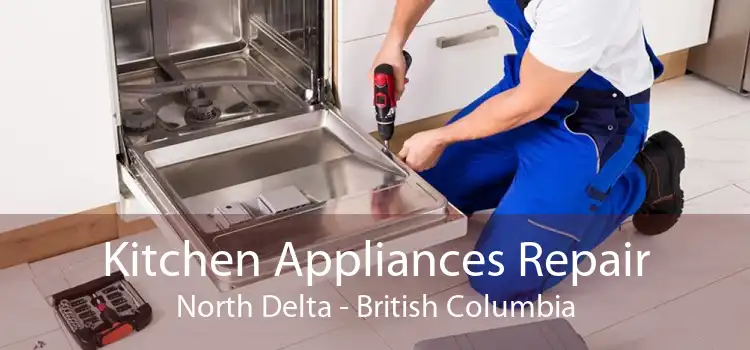Kitchen Appliances Repair North Delta - British Columbia
