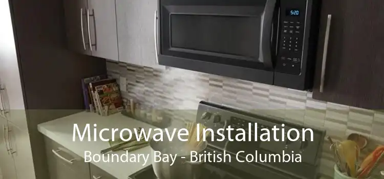 Microwave Installation Boundary Bay - British Columbia