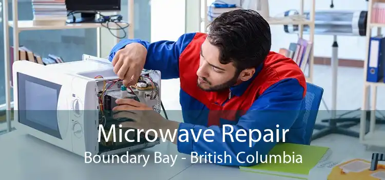 Microwave Repair Boundary Bay - British Columbia