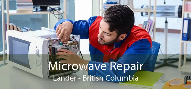 Microwave Repair Lander - British Columbia