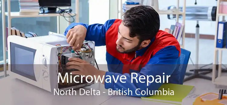 Microwave Repair North Delta - British Columbia