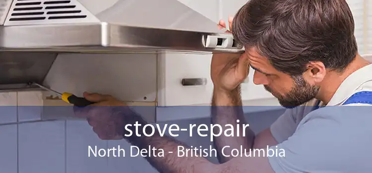 stove-repair North Delta - British Columbia